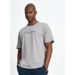 Ellesse EM134-GI Gri Bisiklet Yaka Erkek T-Shirt