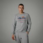 Ellesse EM273 Gri Erkek Bisiklet Yaka Sweatshirt