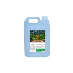 Ellesty Çam Mentol 5 lt Duş Jeli