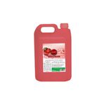 ELLESTY Duş Jeli Çilek 5 Litre