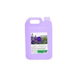 ELLESTY Lavanta Duş Jeli 5 Litre