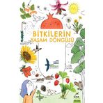 Elma Çocuk Bitkilerin Yaşam Döngüsü