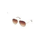 ELOI Sunglasses Eloi Ms-254 C6 Erkek Güneş Gözlüğü
