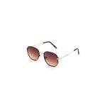 ELOI Sunglasses Eloi Ms337 06 Unisex Güneş Gözlüğü