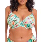Elomi Sunshine Cove Balenli Dalma Aqua Kadın Bikini