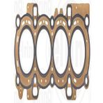 ELRING 025030 Silindir Kapak Conta Cift Yaprak (Ford:Fiesta 1.25-Zetec 96-) YS6G6051BA (WM922822)