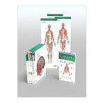 Elsevier Sobotta Atlas of Anatomy, Package, 17th ed.