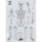 Elux Karton Iskelet Seti - Maket