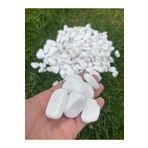 Elysian Beyaz Dolomit Taş 1kg 3-6cm Doğal Renkli Peyzaj Taşı Dekoratif Akvaryum Bahçe Süs Taşları