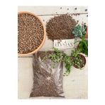 Elysian Kil Bilyesi 5 Litre 3-8mm Orkide Hidroton Hidrokültür Toprağı Lecat Dekoratif Saksı Dibi Süsü