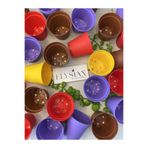 Elysian Üretim Saksı 20 Adet Kaktüs Ve Sukulent Üretim Saksısı 5,5x5 Cm Rengarenk Renkli Küçük Plastik Saksı