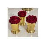 Elzemm store GOLD KAPLAMA 3 LÜ GÜL KOVASI KIRMIZI KADİFE GÜLLER DAHİLDİR