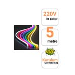Ema Dükkan 220V RGB Neon Led Set 5 Metre Kumandalı IP65 8x15mm Esnek Şerit Dış Mekan Dekor Aydınlatma