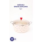 EMAYlab Cupid Emaye Kızartma Tenceresi/ Fritöz (Özel Pyrex Kapaklı)