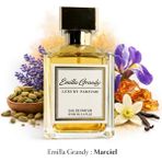 Emilla Grandy BOYS – Baharatlı ve Oryantal Erkek Parfüm | Uzun Kalıcı Extrait Parfüm - Altın - 100 ml
