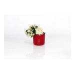 Emin Home 11 cm 0.82 lt 6 Adet Mimoza Saksı
