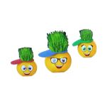 Emoji Çim Adam Yapım Seti-Okul Eğitici Deney Seti 1 Adet
