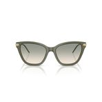 Emporio Armani 0EA 4251 62642C 54 Kadın Güneş Gözlüğü