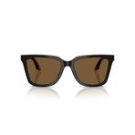Emporio Armani 0EA 4261 631373 55 Kadın Güneş Gözlüğü