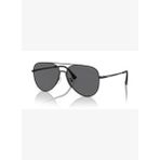 Emporio Armani 0EA2149D 300181 60 Erkek Güneş Gözlüğü