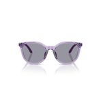 Emporio Armani 4007U 628080 49-17 Kadın Güneş Gözlüğü