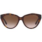 Emporio Armani 4178 5879/13 54 17 140 3n Kadın Güneş Gözlüğü