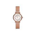 Emporio Armani AR11320 Kadın Kol Saati