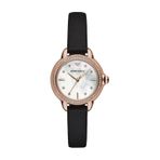 Emporio Armani AR11598 Kadın Kol Saati