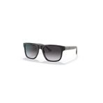 Emporio Armani EA4163 C.5875/8G 56-19 Erkek Güneş Gözlüğü