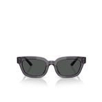 Emporio Armani EA4233U Geometrik Gri Kadın Güneş Gözlüğü