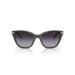 Emporio Armani EA4251 62628G 54 Kadın Güneş Gözlüğü