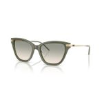 Emporio Armani EA4251 62642C 54 Kadın Güneş Gözlüğü