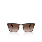 Emporio Armani Erkek Güneş Gözlüğü 0EA208756339013