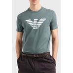 Emporio Armani Pamuklu Regular Fit Bisiklet Yaka Logolu T Shirt Erkek T Shirt 8N1TN5 1jpzz M9061 - Yeşil - 2XL