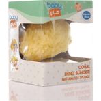 Empressco Baby Plus Baby Plus Doğal Deniz Bebek Banyo Süngeri - Fiyatı, Yorumları - Altın