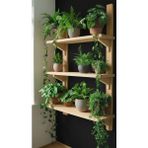 Empressco Ev Dekka Doğal Çam Masif Ahşap 3 Katlı Duvar Rafı - 80X50 cm Mutfak Banyo Çiçeklik Kitaplık Raf - Fiyatı, Yorumları - Seçenek 1 - Pembe