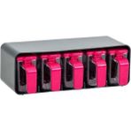 Empressco Herevin 5X250 cc Baharatlık Seti-Fuşya-Gri Kasa - Fiyatı, Yorumları - Ahşap - 1 lt