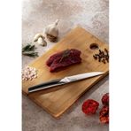 Emsan Pro Knife Steak Bıçağı - Siyah