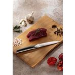 Emsan Pro Knife Steak Bıçağı