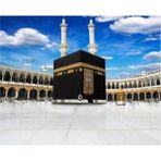 Ena Butik 50x65 cm Kabe Sayılarla Boyama Seti Rulo Duvar Sticker