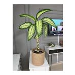 ENBEVEZ HOME Hasır Saksı 25x25
