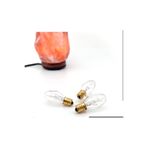 End TUZ LAMBASI AMPUL 10 WATT E14 DUY 3 ADET