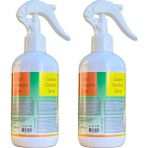 Enderma Ortam Dezenfektanı 2 Adet - 250 ML