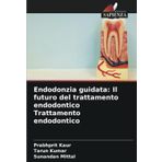 Endodonzia guidata: Il futuro del trattamento endodontico Trattamento endodontico