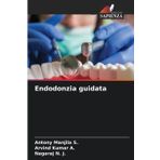 Endodonzia guidata