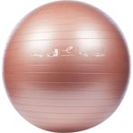 Energetics Unisex Pembe Pilates Topu 55cm