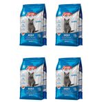 Energy 4x500 gr Somonlu Yetişkin Kuru Kedi Maması
