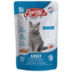 Energy 72x85 gr Somonlu Yetişkin Yaş Kedi Maması
