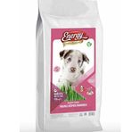 Energy Premium Kuzu Etli & Pirinçli 15 kg Yavru Köpek Maması