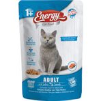 Energy Somonlu Islak 6x85 gr Kedi Maması